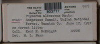 Image Associated With the Occurence